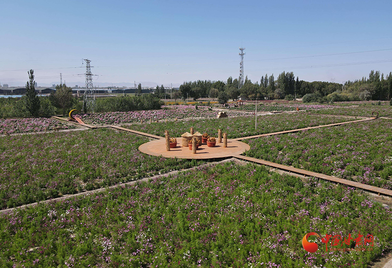 玉門:繪就和美鄉村“實景圖”